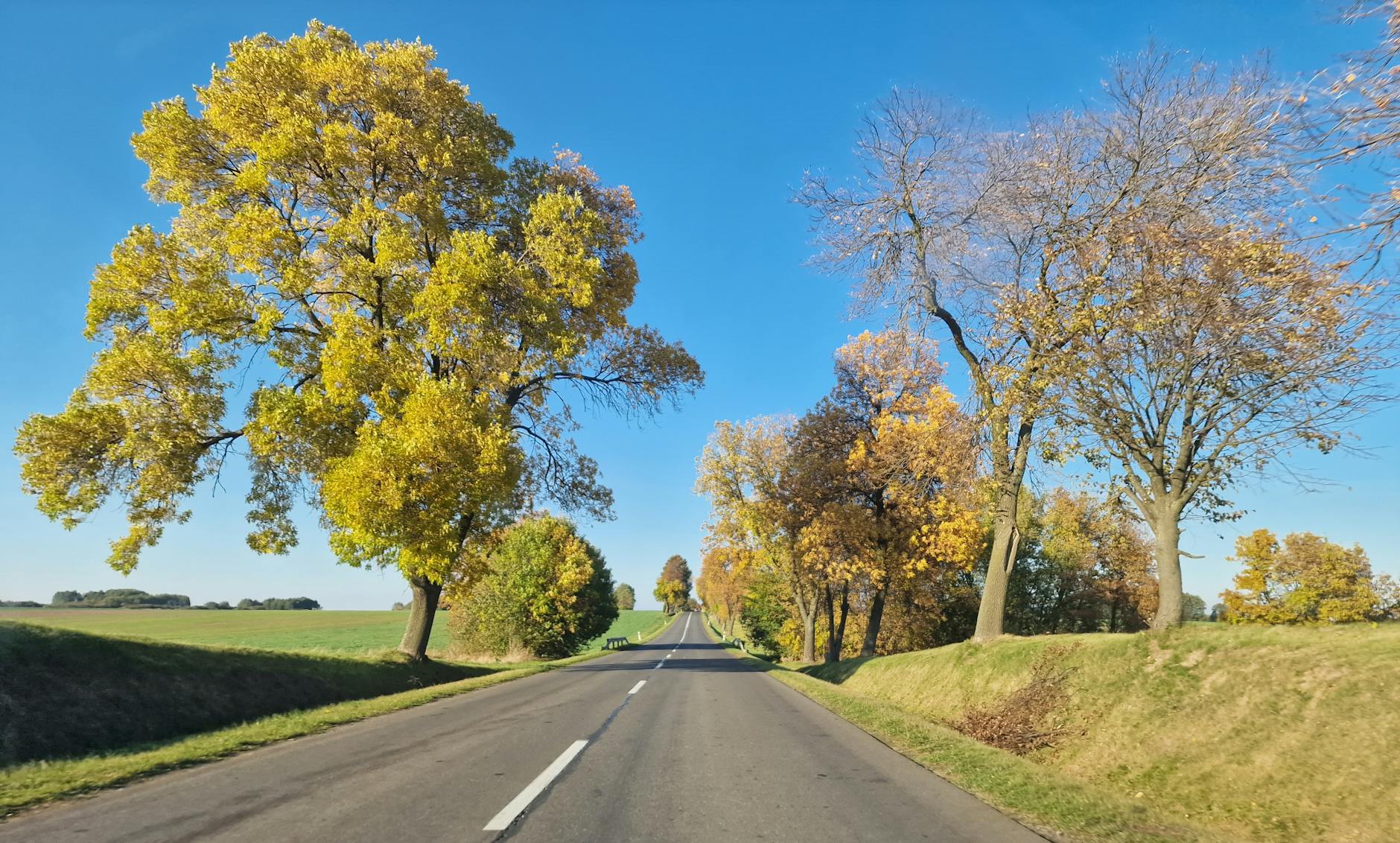 Nabór wniosków na przedsiębiorczość w powiecie szczecineckim